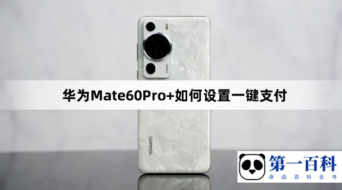 华为Mate60Pro+如何设置一键支付