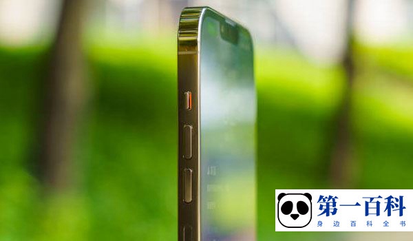 iPhone 13 Pro Max流量使用情况查询教程