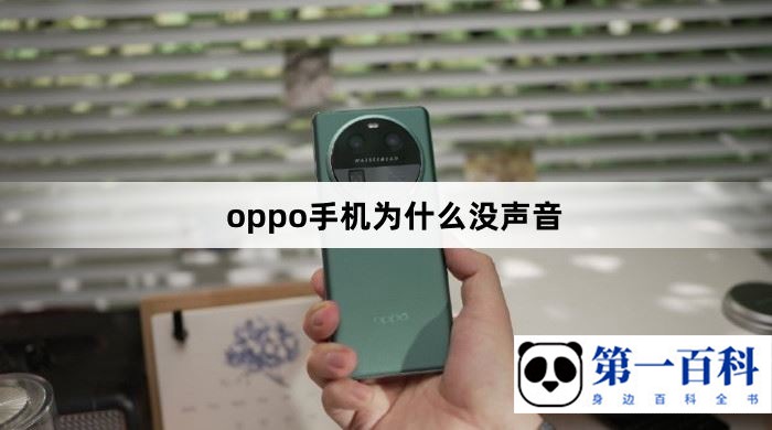 oppo手机为什么没声音