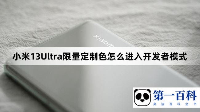 小米13Ultra限量定制色怎么进入开发者模式