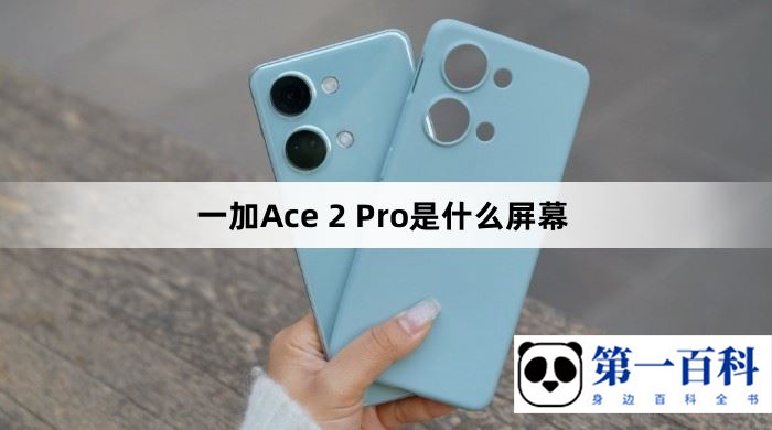 一加Ace 2 Pro是什么屏幕