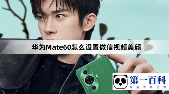 华为Mate60怎么设置微信视频美颜