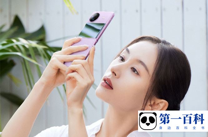 vivo X Flip外屏是竖向的还是横向的