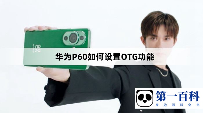 华为P60如何设置OTG功能