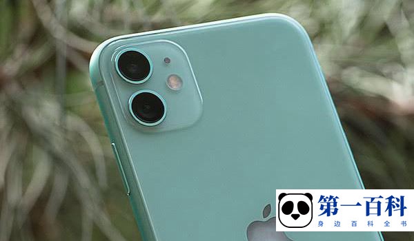 iPhone 11配色介绍