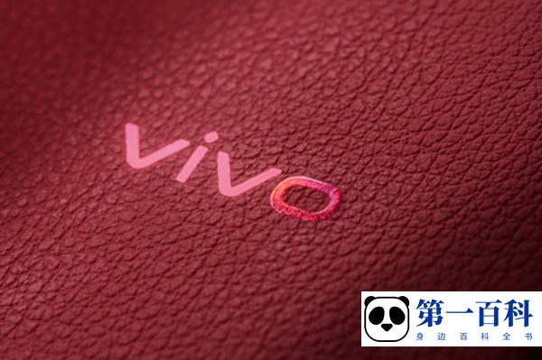 vivo X90 Pro+支持无线充电吗