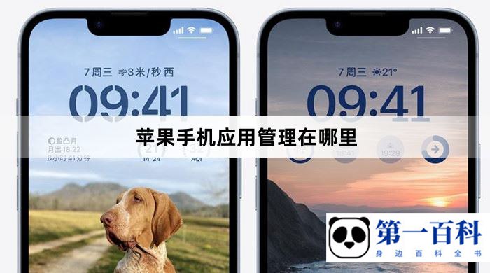 苹果手机应用管理在哪里