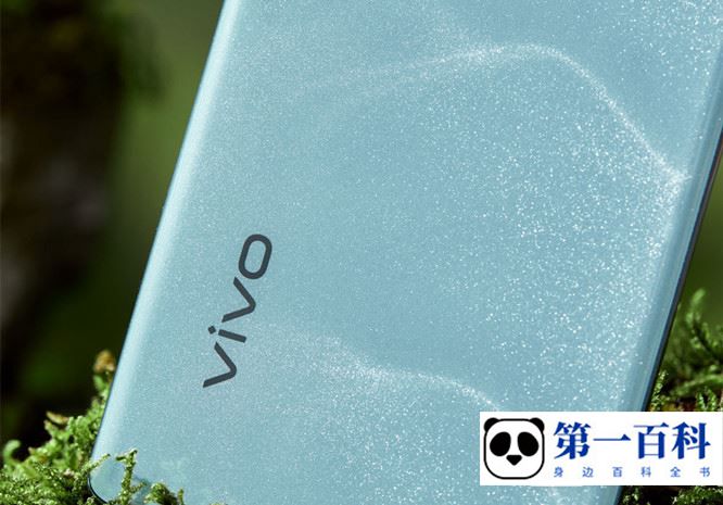 vivo S17换原装电池多少钱