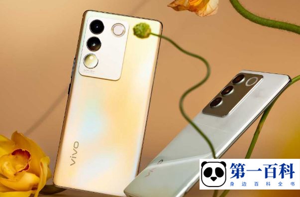 vivo S16支持双系统吗