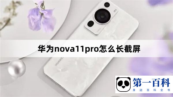 华为nova11pro怎么长截屏