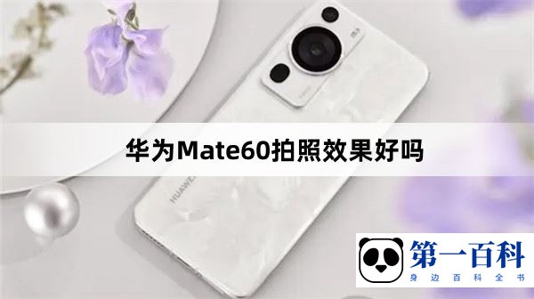 华为Mate60拍照效果好吗