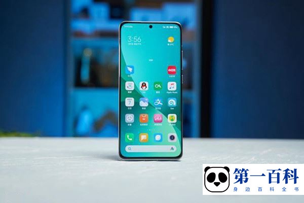 Xiaomi 12换电池多少钱？