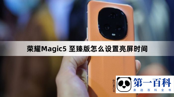 荣耀Magic5 至臻版怎么设置亮屏时间