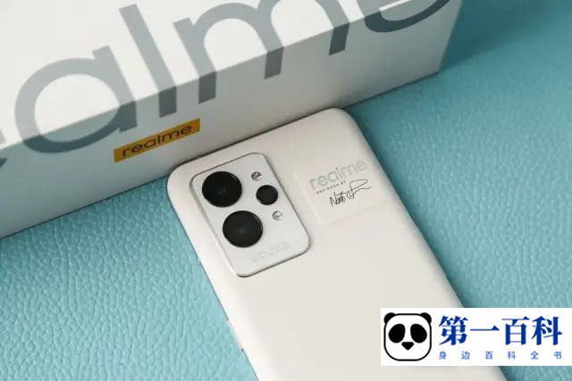 真我realme GT2怎么进入开发者模式