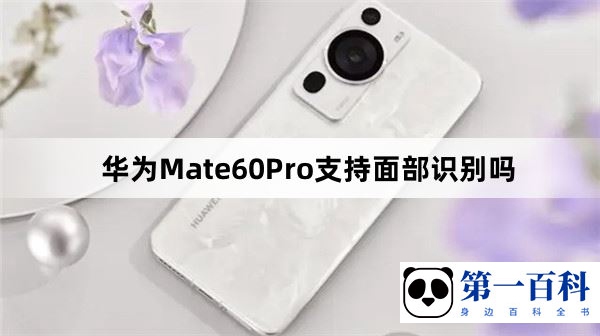 华为Mate60Pro支持面部识别吗