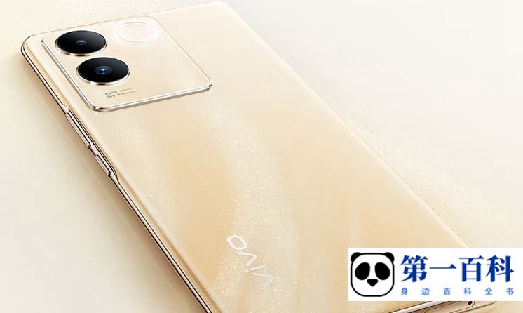 vivo S17e支持多少w的快充