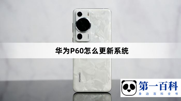 华为P60怎么更新系统