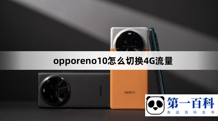 opporeno10怎么切换4G流量