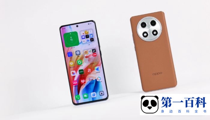 OPPOA2Pro没有网络怎么办