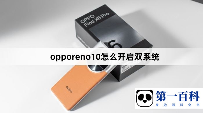 opporeno10怎么开启双系统