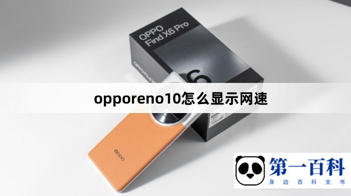 opporeno10怎么显示网速