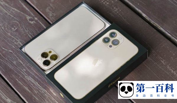 iPhone 13 Pro Max开发者模式进入教程