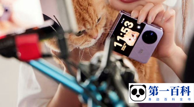 vivo X Flip 屏幕刷新率介绍