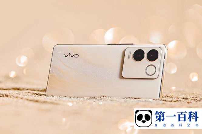 vivo S17e可以用两张电信卡吗