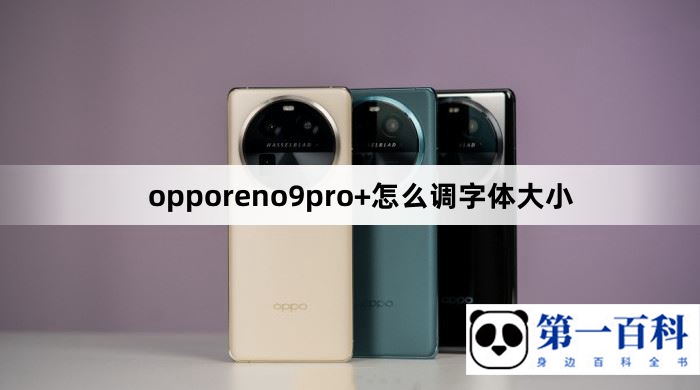 opporeno9pro+怎么调字体大小