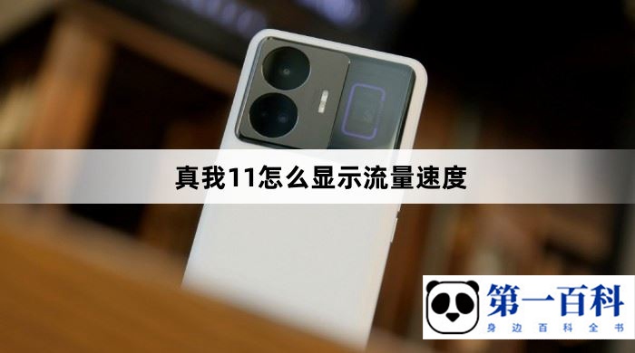 真我11怎么显示流量速度