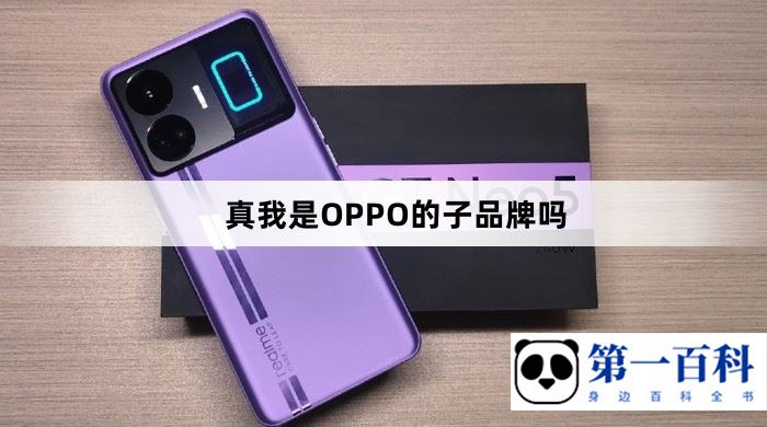 真我是OPPO的子品牌吗