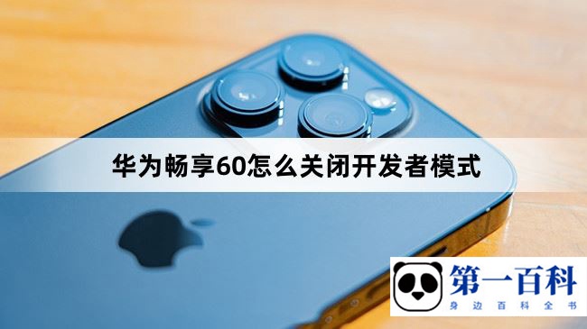 华为畅享60怎么关闭开发者模式