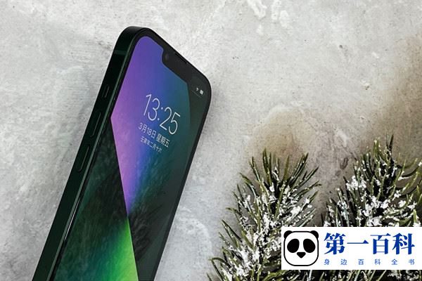 iPhone 14 Plus开启录屏功能教程