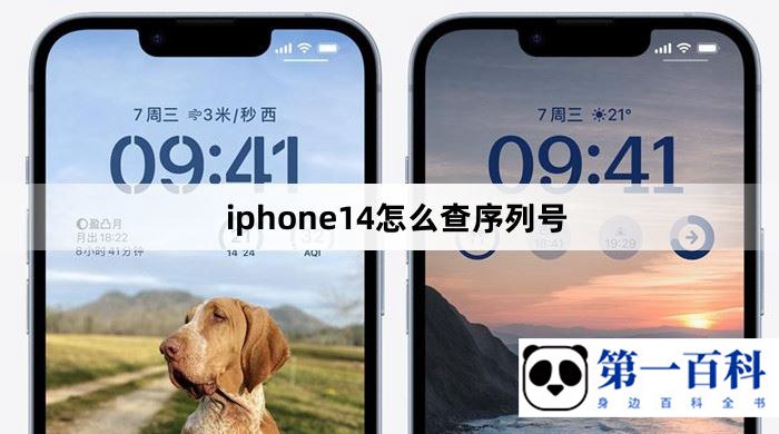 iphone14怎么查序列号