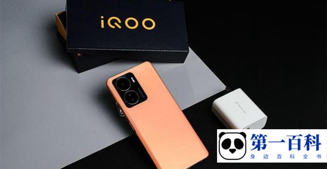 iQOO Z6配件介绍