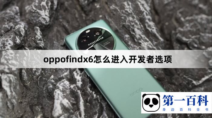 oppofindx6怎么进入开发者选项