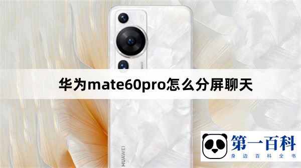 华为mate60pro怎么分屏聊天