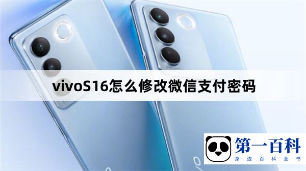 vivoS16Pro怎么修改微信支付密码