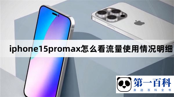 iphone15promax怎么看流量使用情况明细