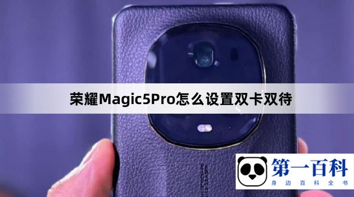 荣耀Magic5Pro怎么设置双卡双待