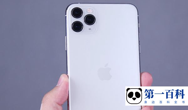 iPhone 11 Pro Max是不是双卡双待