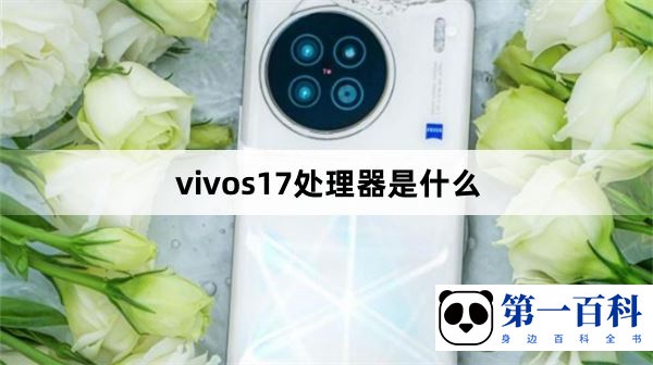 vivos17处理器是什么