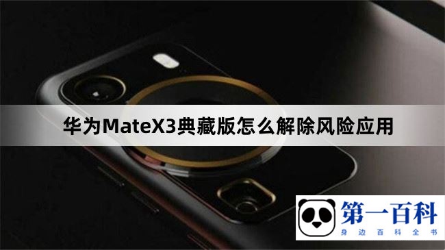 华为MateX3典藏版怎么解除风险应用