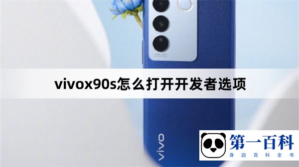 vivox90s怎么打开开发者选项