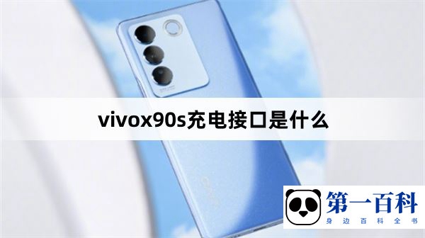 vivox90s充电接口是什么