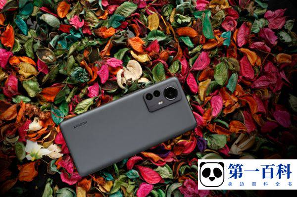 Xiaomi 12 Pro 天玑版官方售价多少