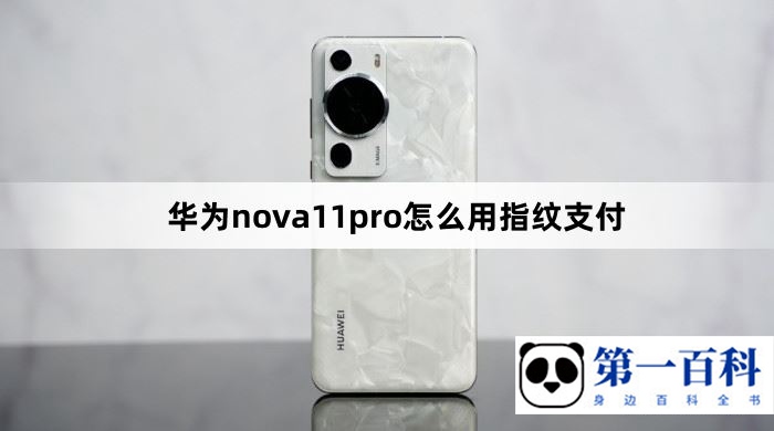 华为nova11pro怎么用指纹支付