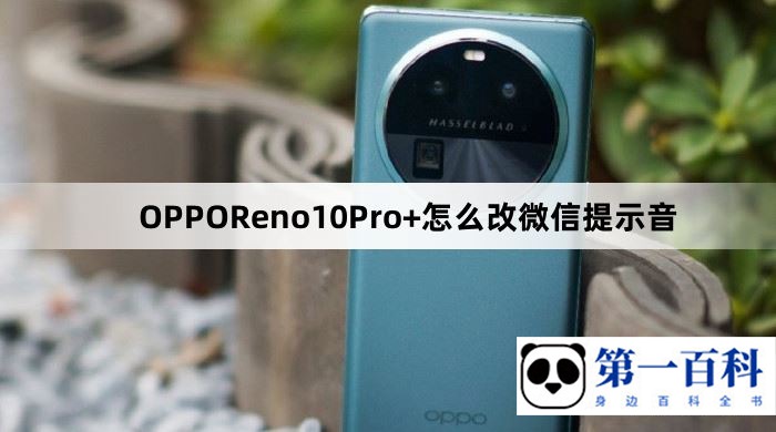 OPPOReno10Pro+怎么改微信提示音