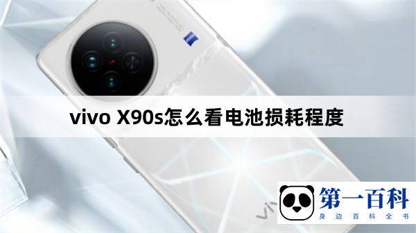 vivo X90s怎么看电池损耗程度