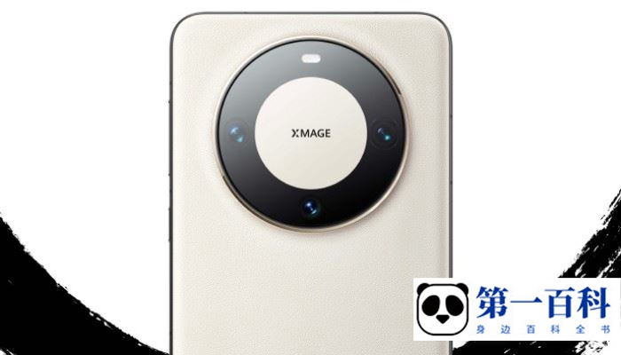 华为Mate60Pro+有金标吗